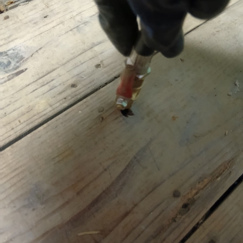 廊下にシロアリ駆除剤を注入する様子