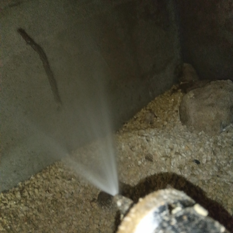 蟻道を作られた床下の基礎部分にシロアリ駆除剤を散布する様子