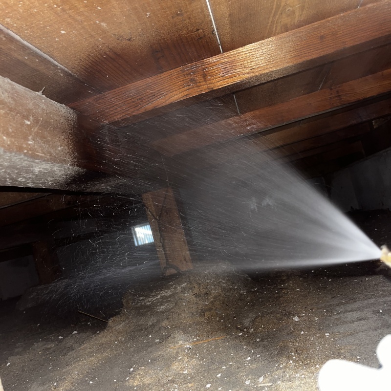 床下の木材にシロアリ駆除剤を散布する様子