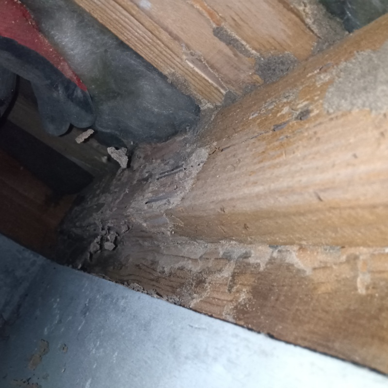 築年数44年のシロアリ駆除の施工事例（神奈川県藤沢市本鵠沼）