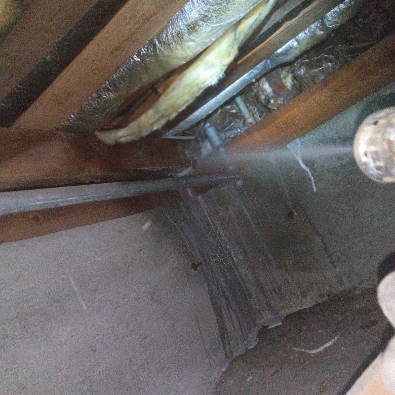 床下の木材にシロアリ駆除剤を散布する様子