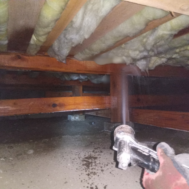 床下の木材にシロアリ駆除剤を散布する様子