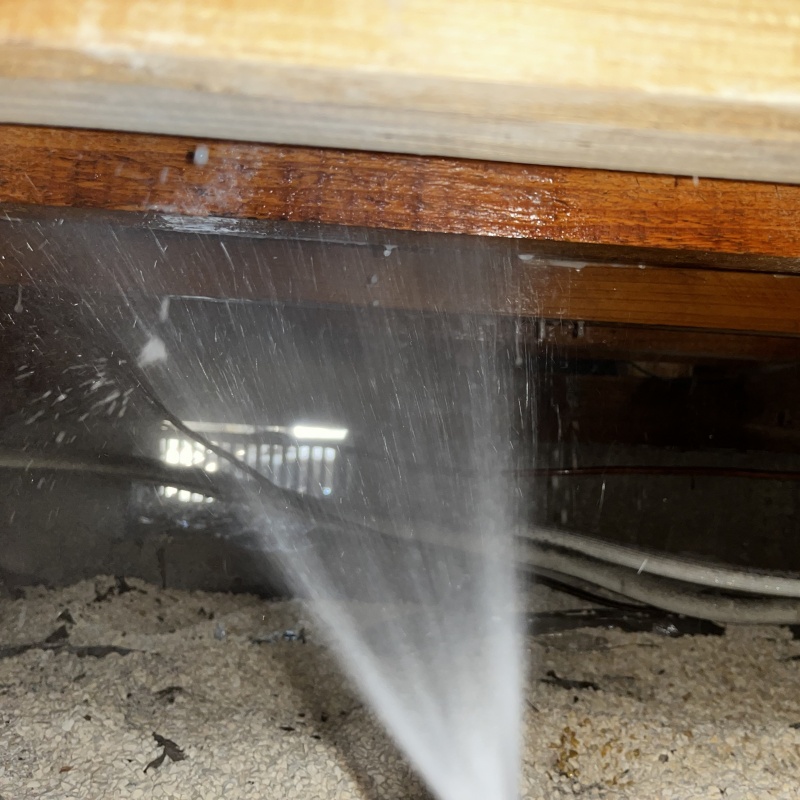 床下の木材に防蟻剤を散布する様子