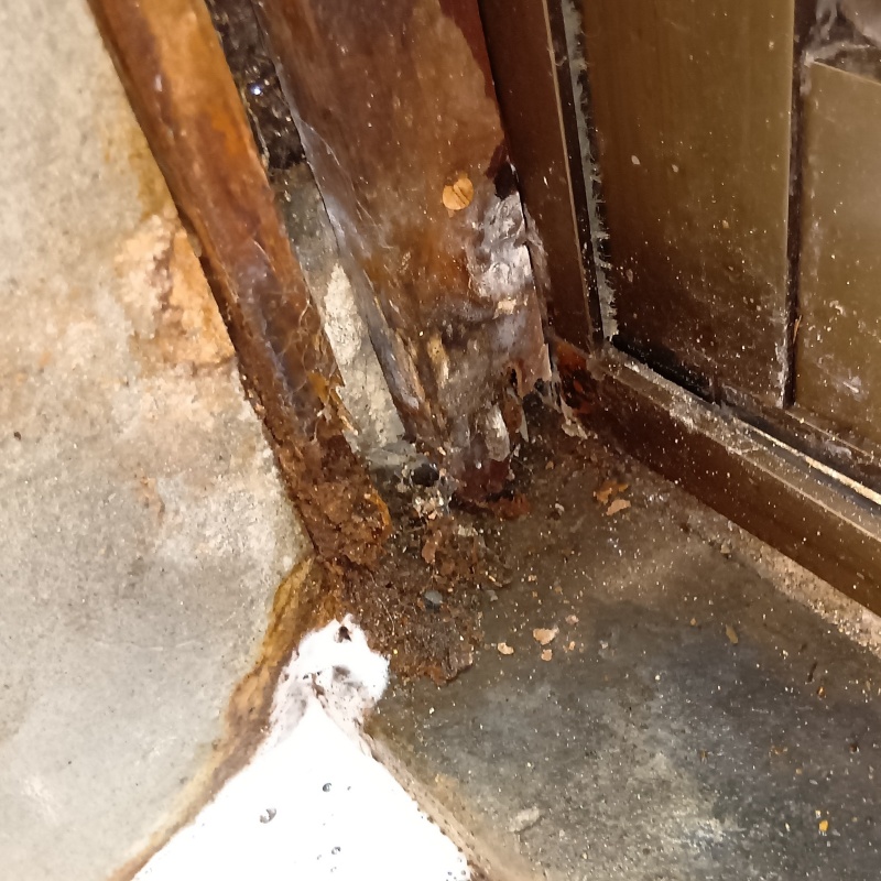 築年数57 年のシロアリ駆除の施工事例（福岡県北九州市戸畑区浅生）