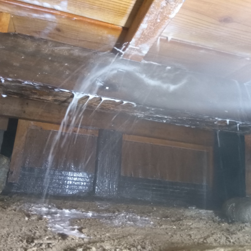 床下の木材に防蟻剤を散布する様子