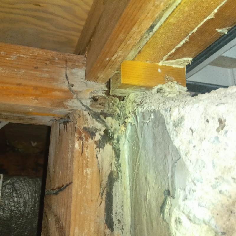 築年数30年のシロアリ駆除の施工事例（兵庫県姫路市夢前町前之庄）