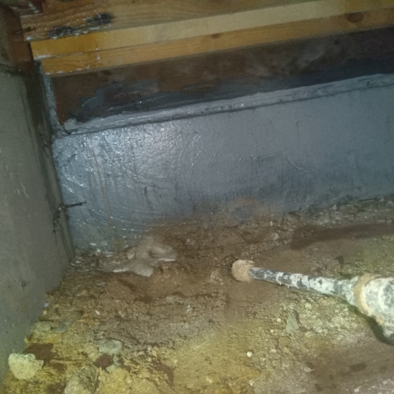 床下の土壌にシロアリ駆除剤を散布する様子