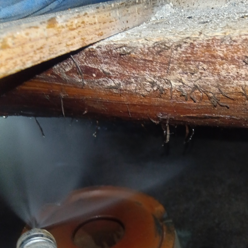 シロアリ駆除の施工事例（岐阜県高山市）