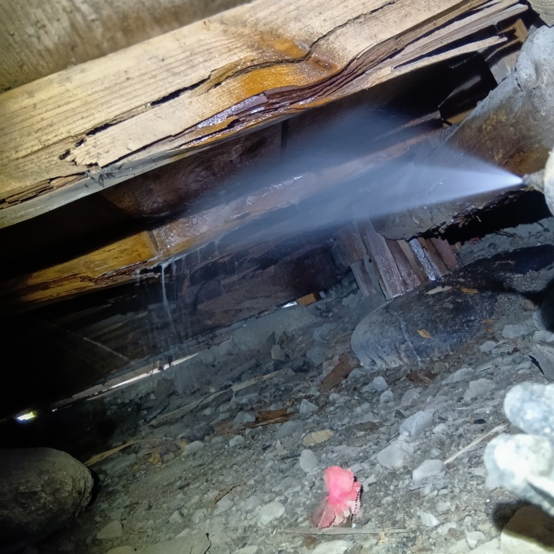 床下の木材にシロアリ駆除剤を散布する様子