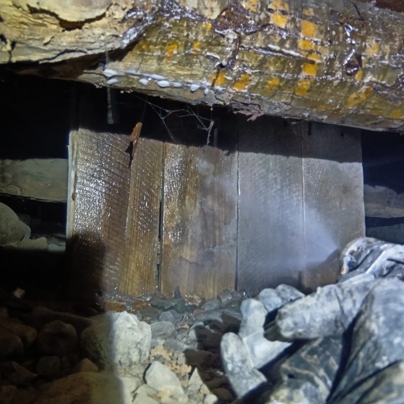 床下の木材にシロアリ駆除剤を散布する様子