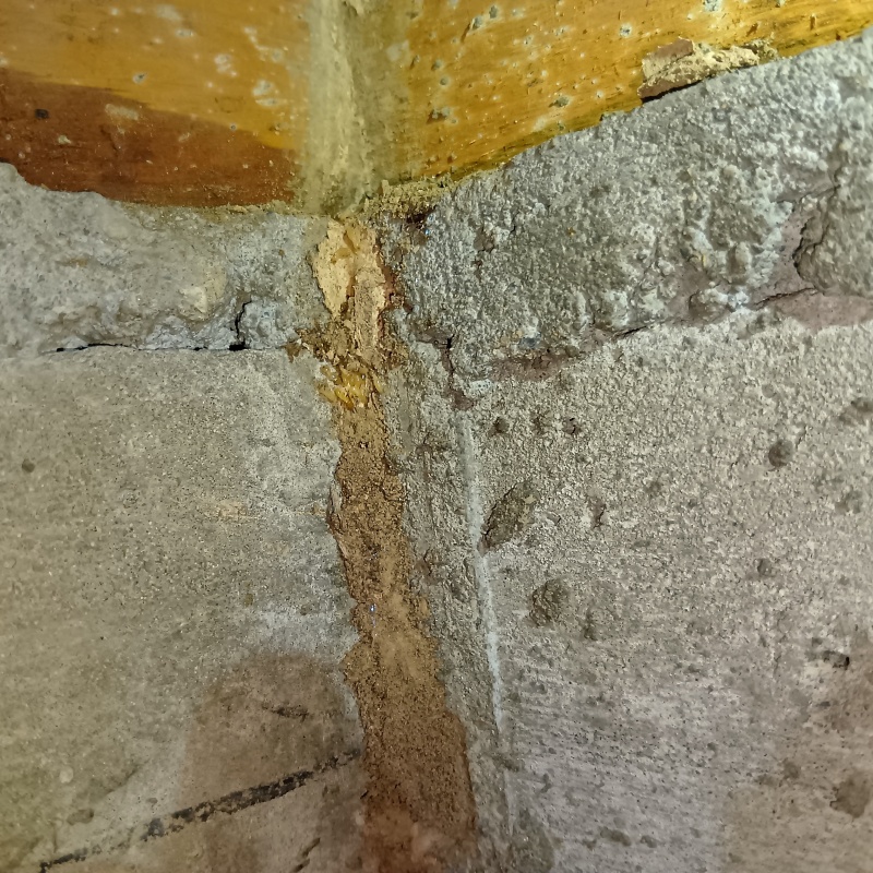 築年数50年のシロアリ駆除の施工事例（神奈川県川崎市中原区上平間）