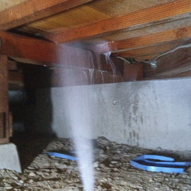 床下の木材にシロアリ駆除剤を散布する様子