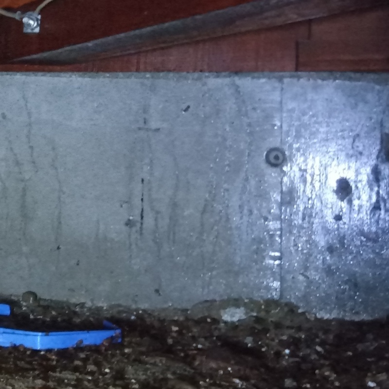 床下の基礎部分にシロアリ駆除剤を散布した様子