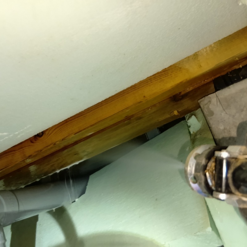 床下の木材に防蟻剤を散布する様子