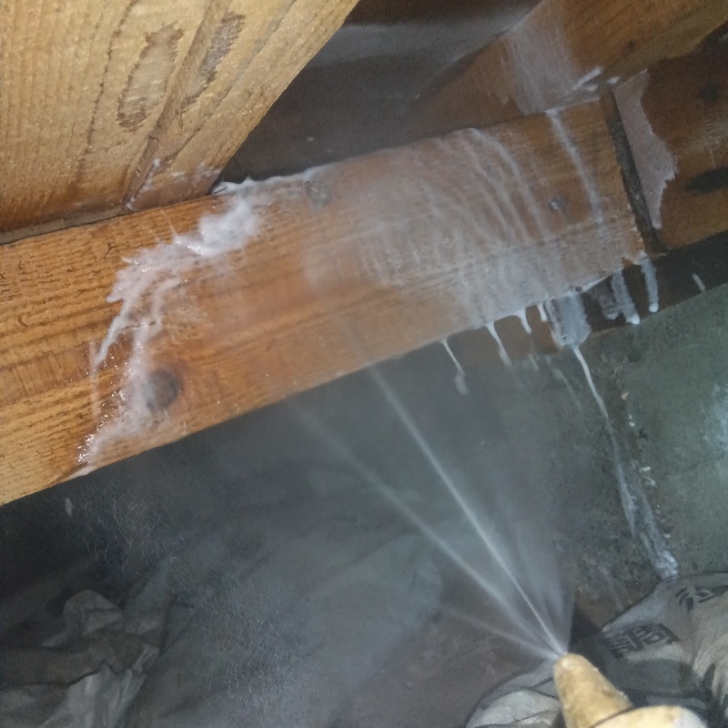 床下の木材に防蟻剤を散布する様子