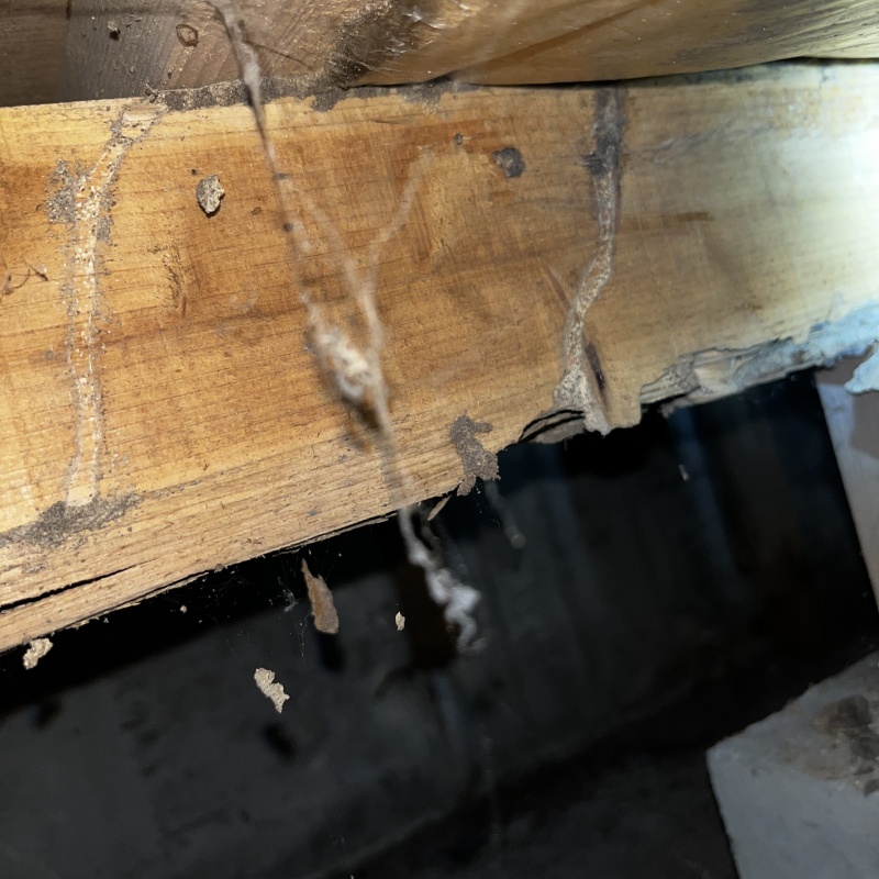 築年数36年のシロアリ駆除の施工事例（東京都江戸川区大杉）