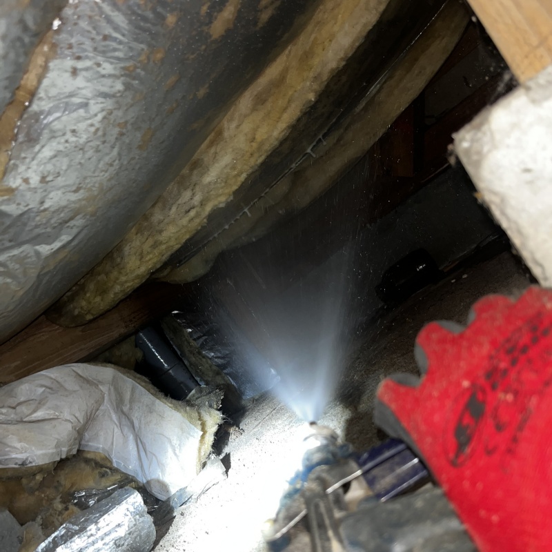 床下の木材にシロアリ駆除剤を散布する様子