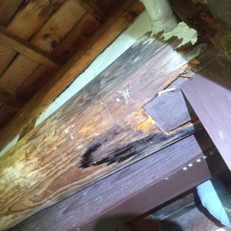 シロアリ駆除の施工事例（広島県広島市安佐北区）