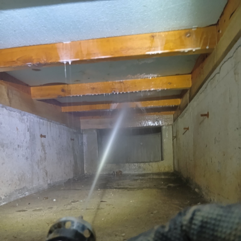 築年数30年のシロアリ駆除の施工事例（東京都板橋区加賀）