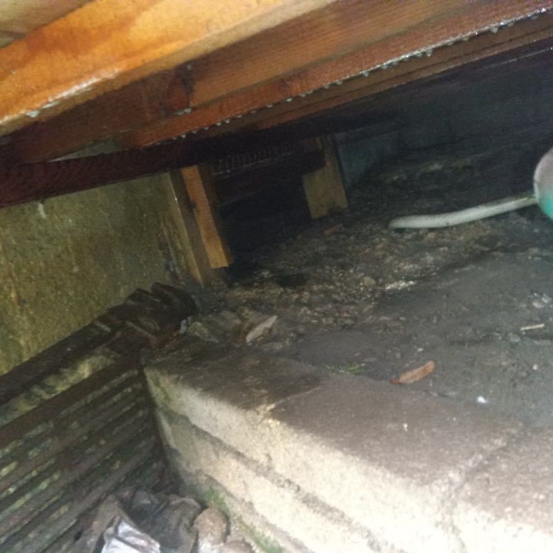 築年数100年のシロアリ駆除の施工事例（広島県福山市鞆町鞆）