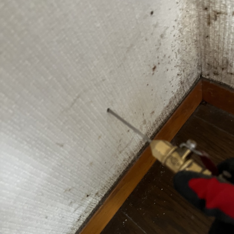 室内の壁にシロアリ駆除剤を注入