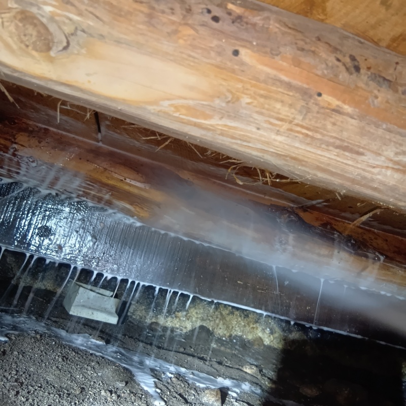 床下の木部にシロアリ駆除剤を散布