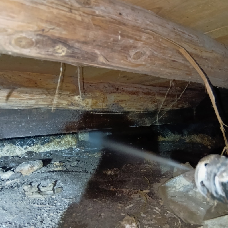 床下の基礎にシロアリ駆除剤を散布