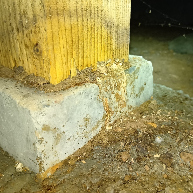 築年数30年のシロアリ駆除の施工事例（静岡県牧之原市東萩間）