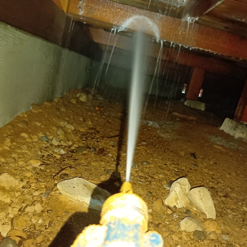 床下の木部にシロアリ駆除剤を散布