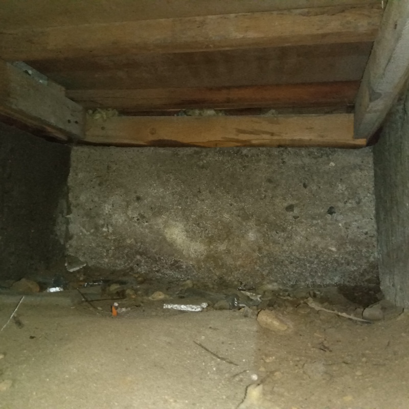 シロアリ駆除の施工事例（兵庫県神戸市長田区駒ケ林町）