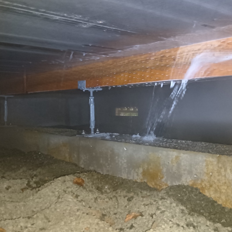 床下の木部に防蟻剤を散布