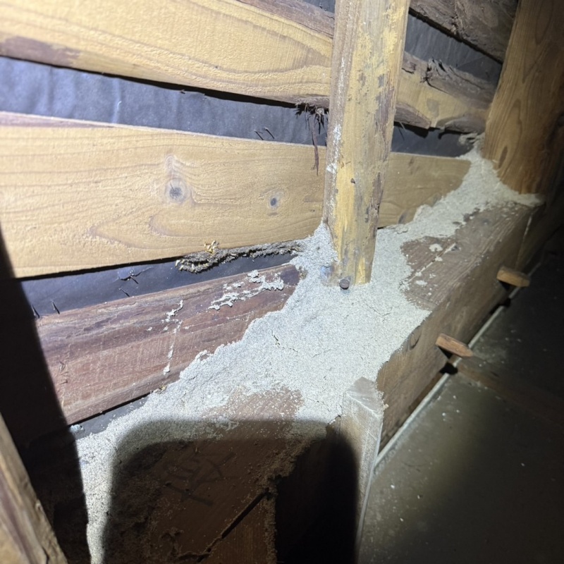 築年数40年のシロアリ駆除の施工事例（長崎県長崎市0）