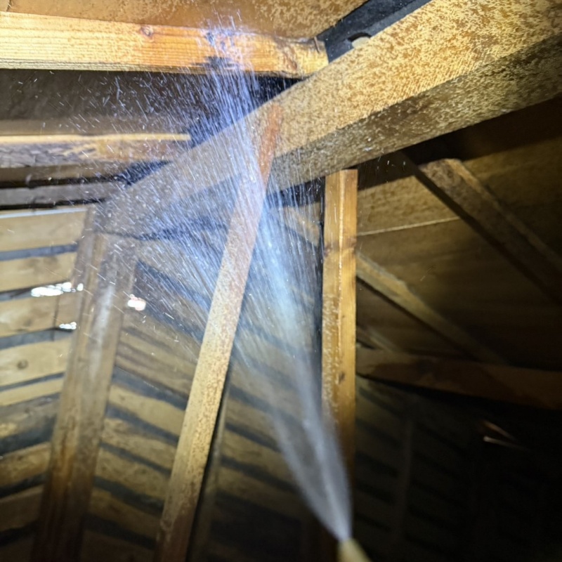 屋根裏の木部にシロアリ駆除剤を散布