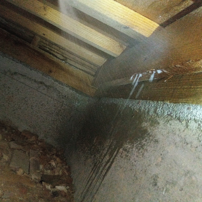 床下の基礎にシロアリ駆除剤を散布