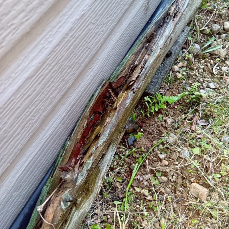 築年数30年のシロアリ駆除の施工事例（兵庫県神戸市西区月が丘）