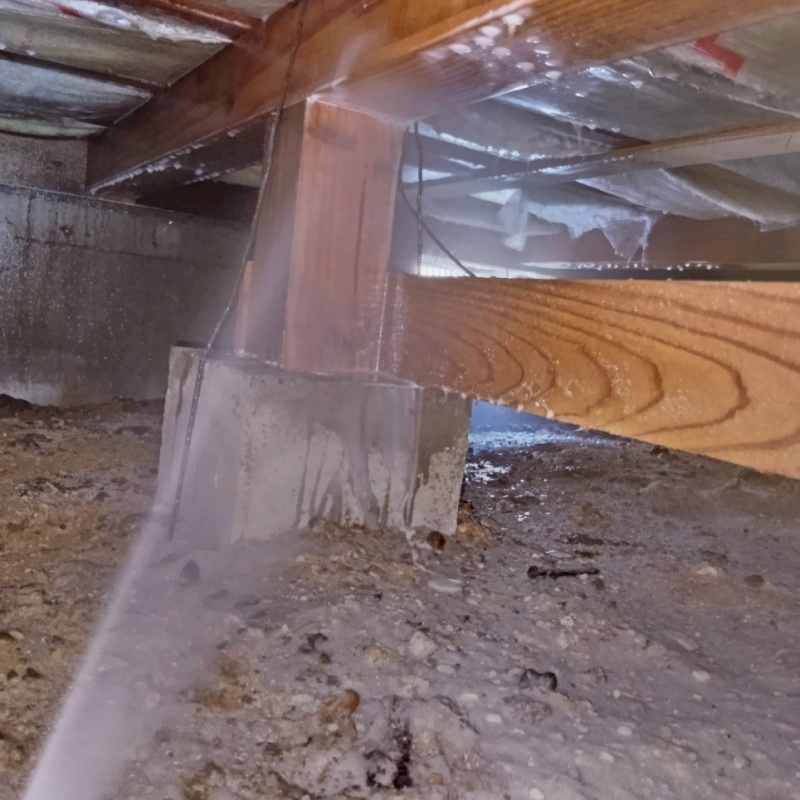 床下の木部にシロアリ駆除剤を散布