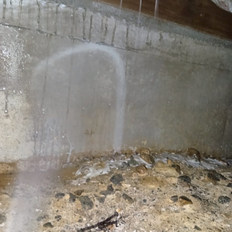 床下の土壌・基礎にシロアリ駆除剤を散布