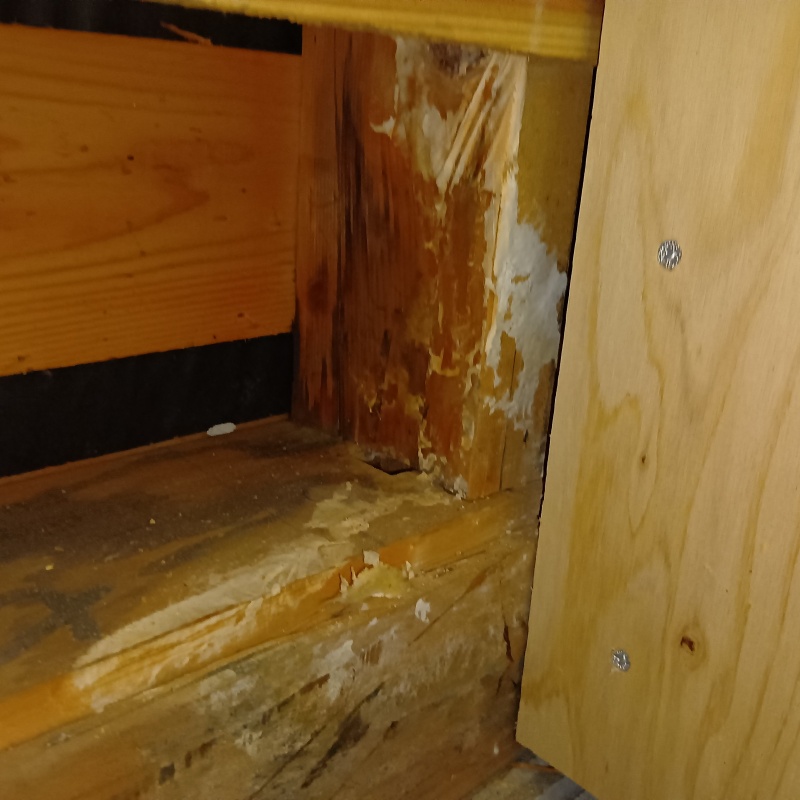 築年数30年のシロアリ駆除の施工事例（東京都小平市天神町）