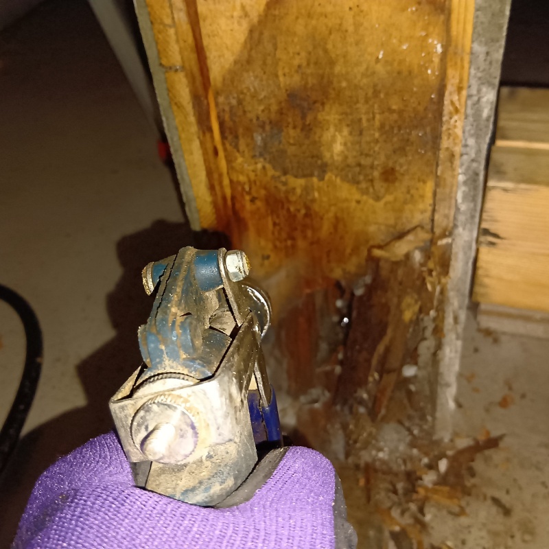 屋根裏の木部にシロアリ駆除剤を散布