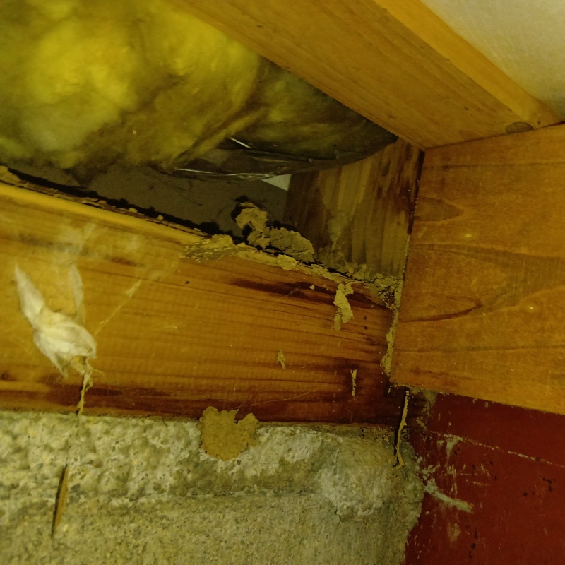 築年数29年のシロアリ駆除の施工事例（三重県鈴鹿市0）