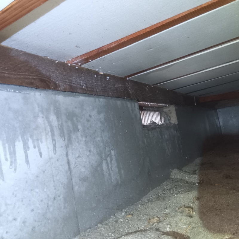 床下の基礎にシロアリ駆除剤を散布