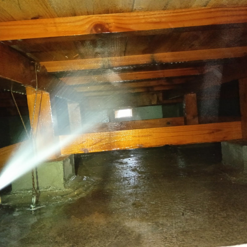 シロアリ駆除の施工事例（静岡県富士市）