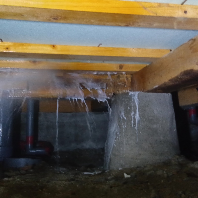 床下の木部にシロアリ駆除剤を散布