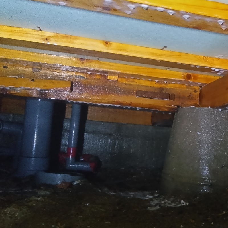 床下の土壌・基礎にシロアリ駆除剤を散布