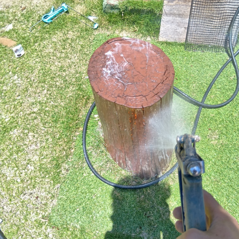 庭の切り株にシロアリ駆除剤を散布