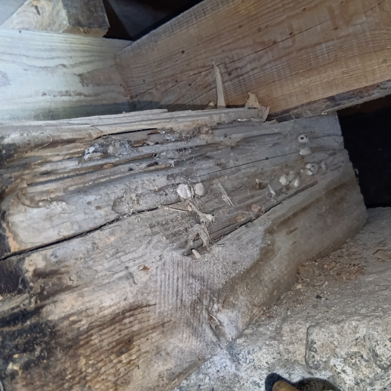 築年数60年のシロアリ駆除の施工事例（石川県白山市菅波町）