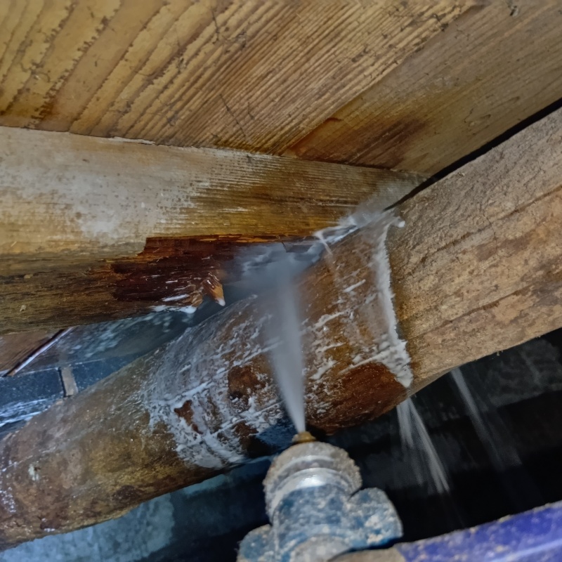 床下の木部にシロアリ駆除剤を散布