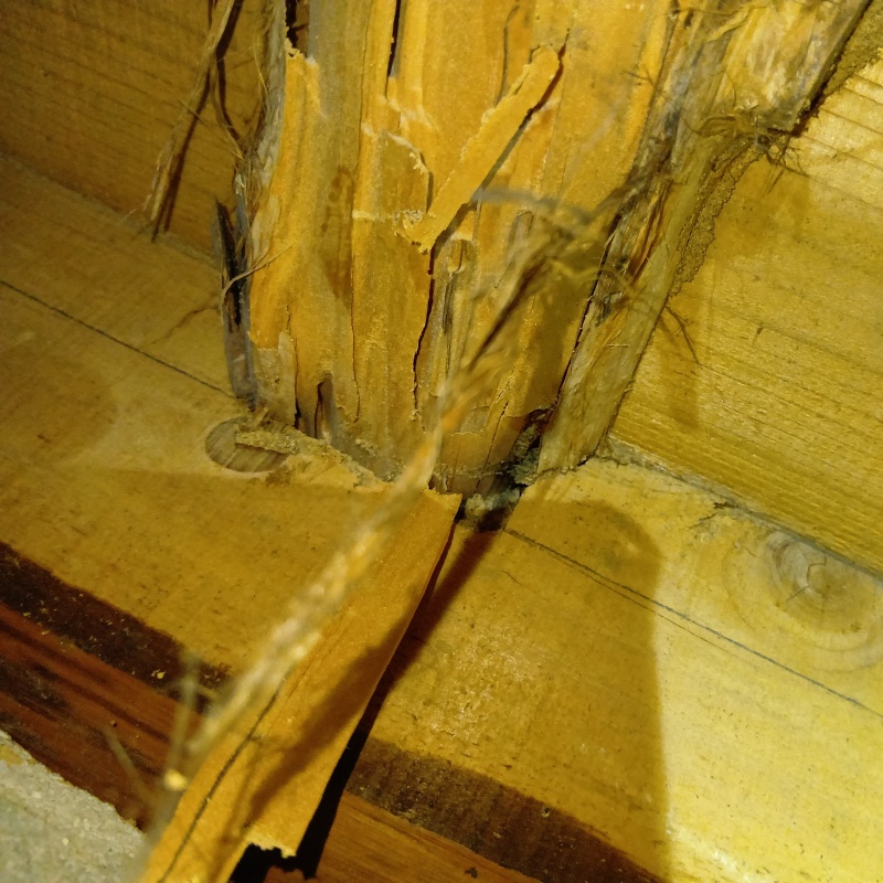 築年数40年のシロアリ駆除の施工事例（三重県員弁郡東員町長深）