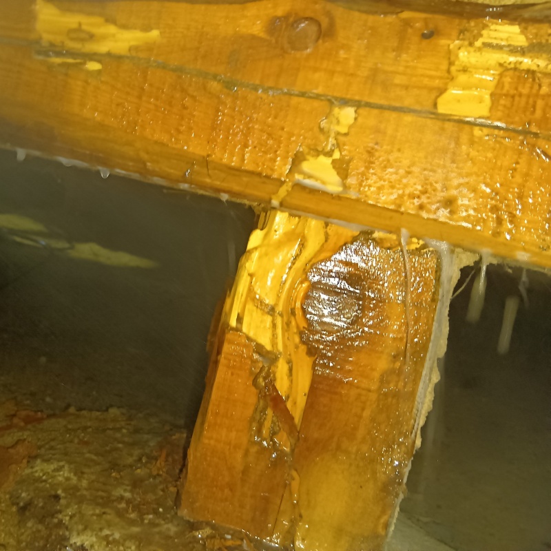 床下の木部にシロアリ駆除剤を散布