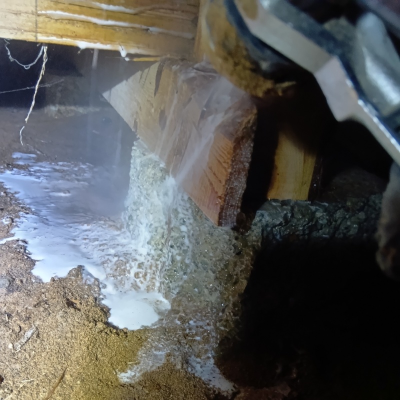 床下の木部にシロアリ駆除剤を散布